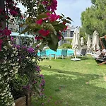 Malta ボドルム